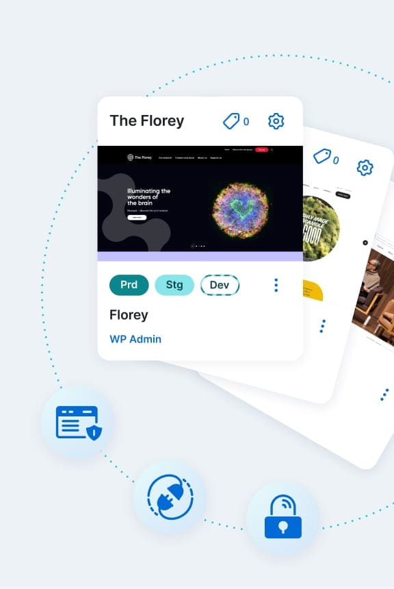 Graphic depicting WP Engine's portal elements and tool icons